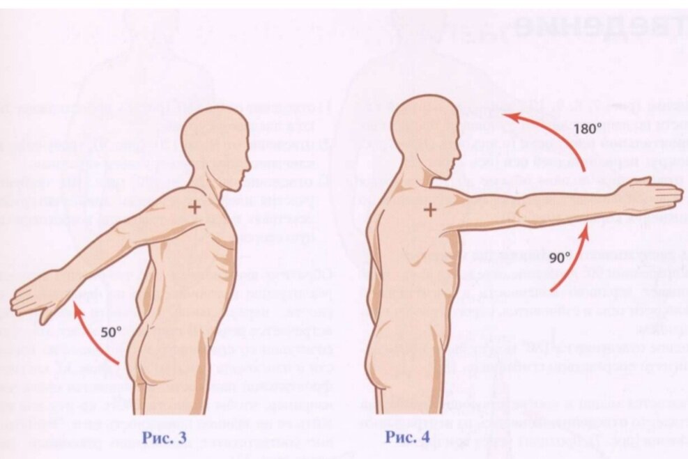 Сагиттальная плоскость.