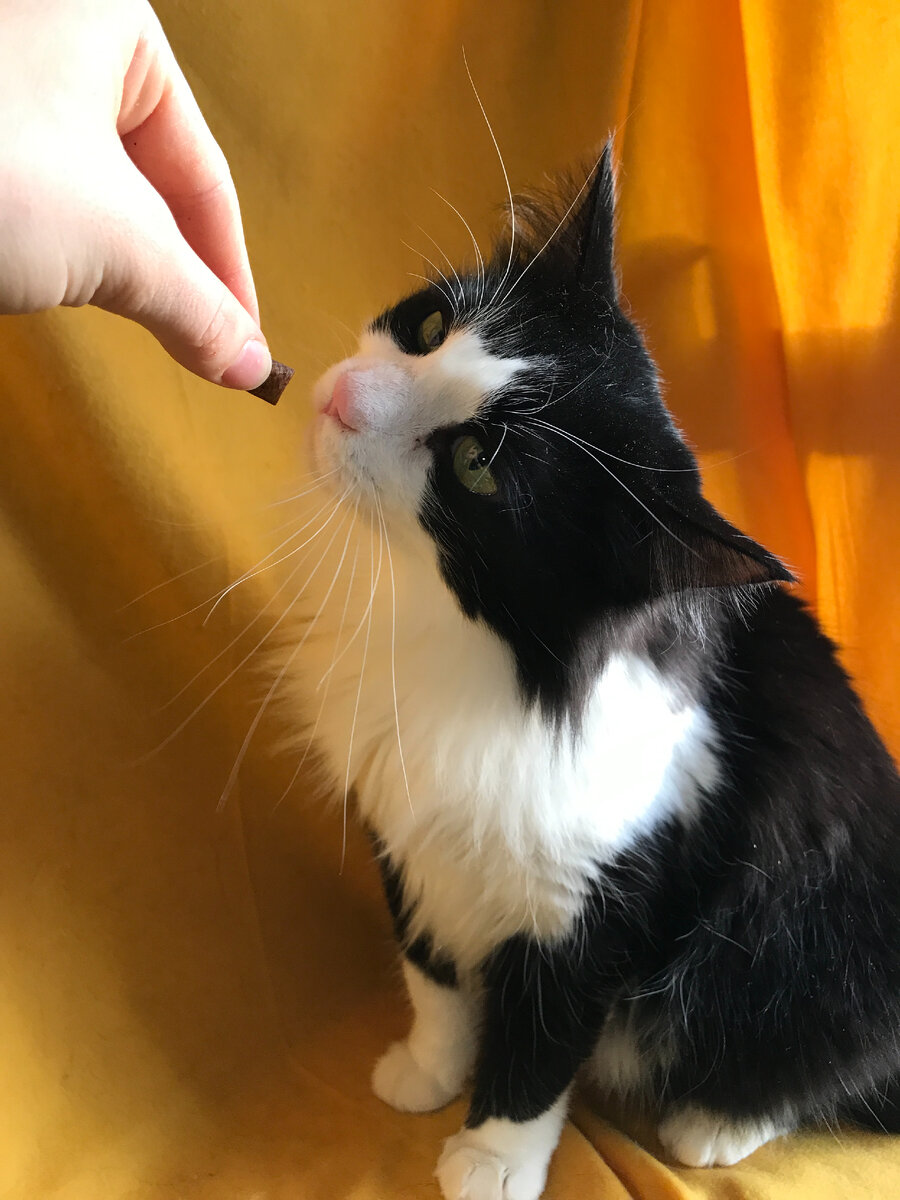 Фото авторов. Фима