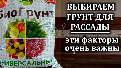 Как приготовить грунт для рассады в домашних условиях