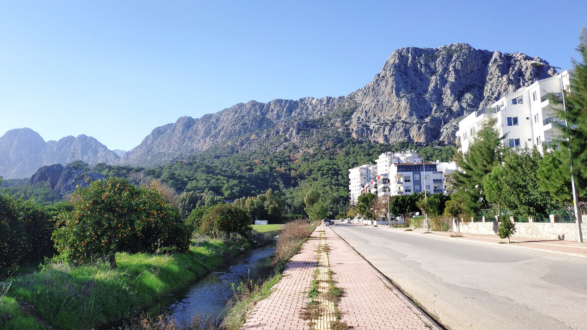 Стало дороже, но красота того стоит:)