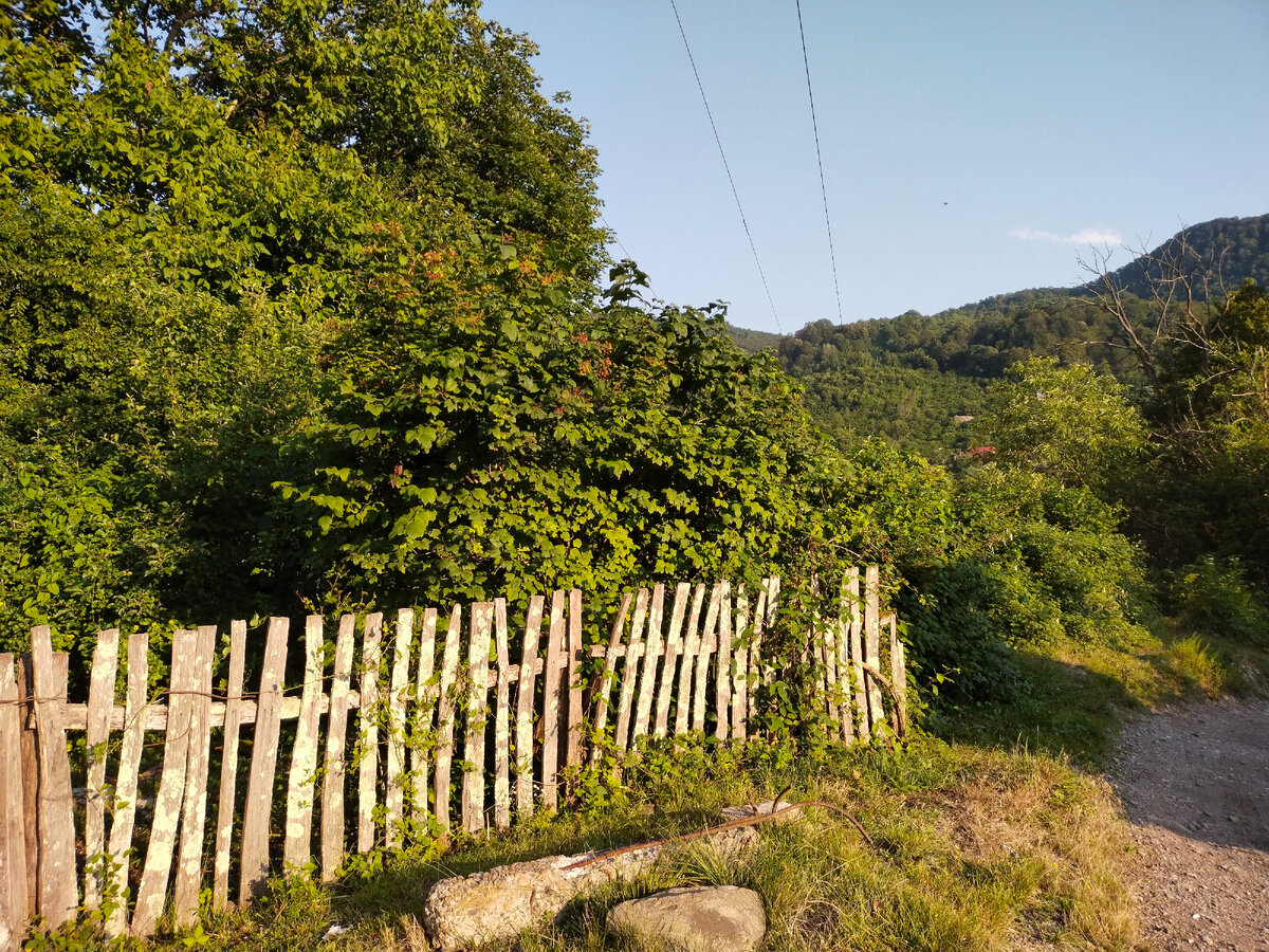 Фото Татьяны Савиной