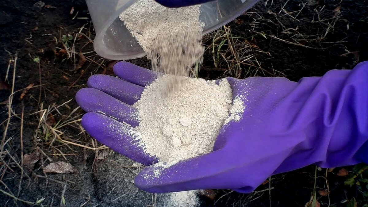 Диатомит почему-то очень популярен в этом сезоне