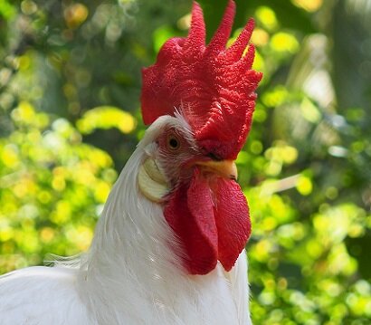 Изображение из открытого источника. Unsplash