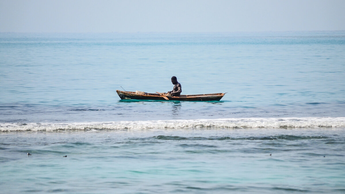Photo by Debby Hudson on Unsplash