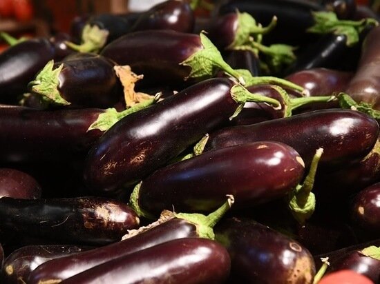 © ФОТО: ИД «ВОЛГОГРАДСКАЯ ПРАВДА» / СЕРГЕЙ ГРИГОРЕНКО / АРХИВ.