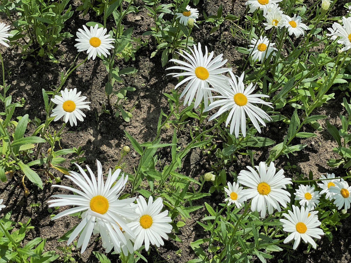 Август в Москве 2023