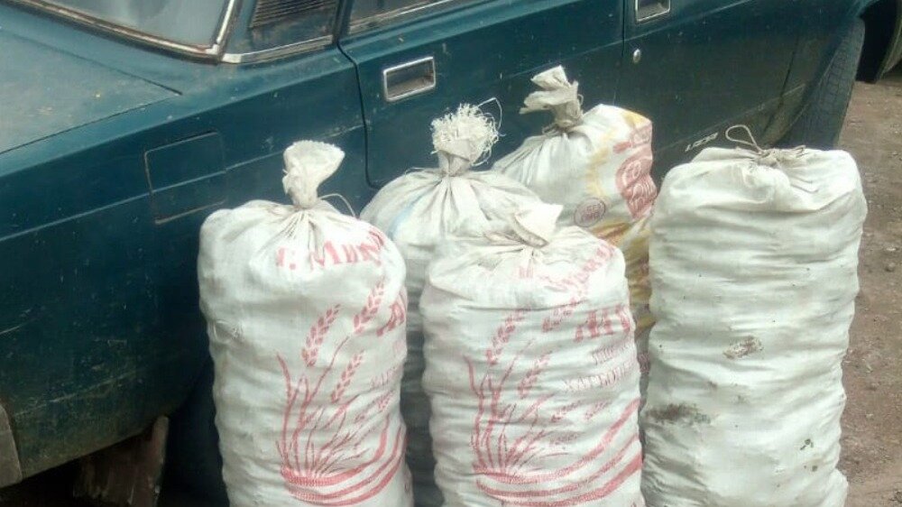     В Усть-Абаканском районе задержали нетерпеливого таежника, который раньше времени отправился собирать кедровую шишку.