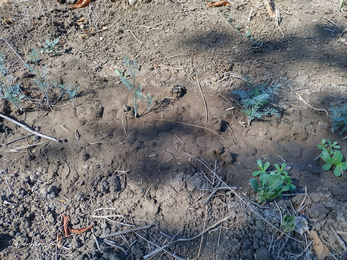 Вы его видите? А он там есть. Немножко ))