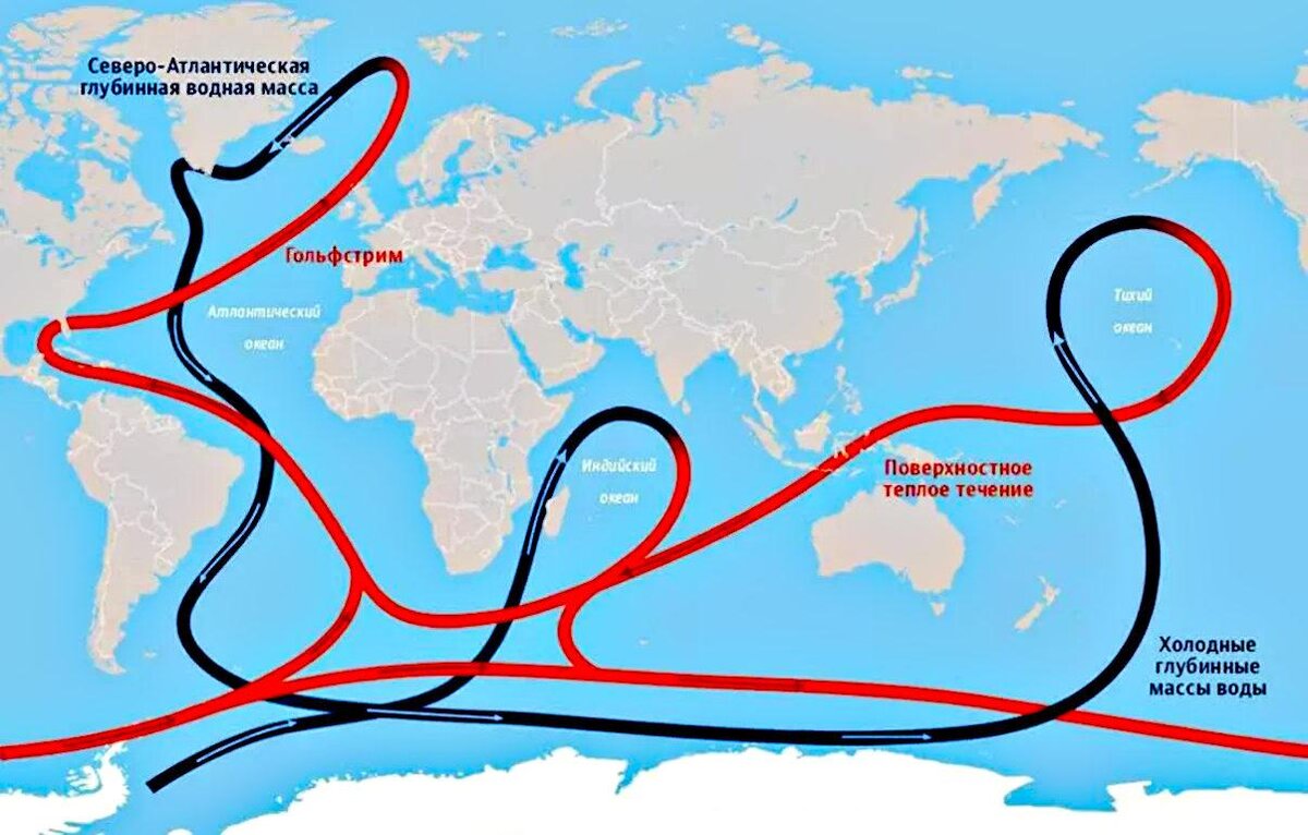 Ученые предрекли исчезновение Гольфстрима: правда или нет? | Кубанский  научный фонд | Дзен