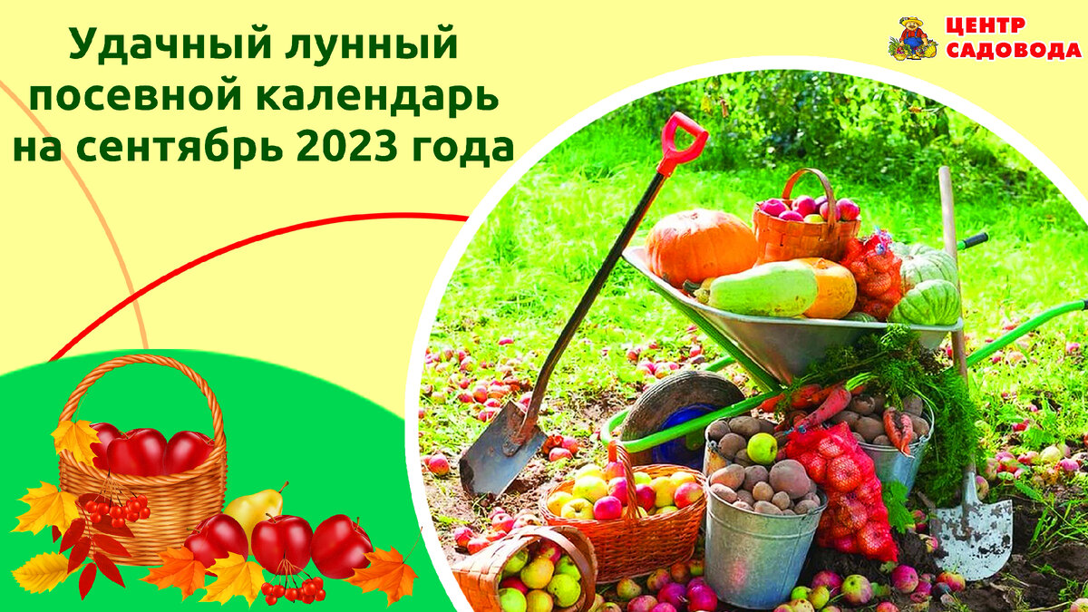 Удачный лунный календарь на сентябрь 2024