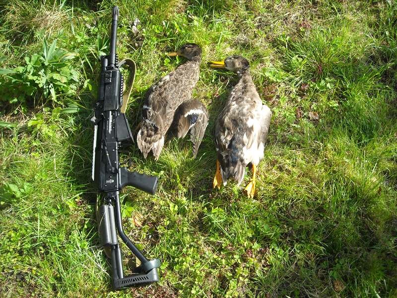 охот 12. сайга 12 охотвариант. пятизарядка мц 21-12. охотничья сайга 12 калибр. охот 12.