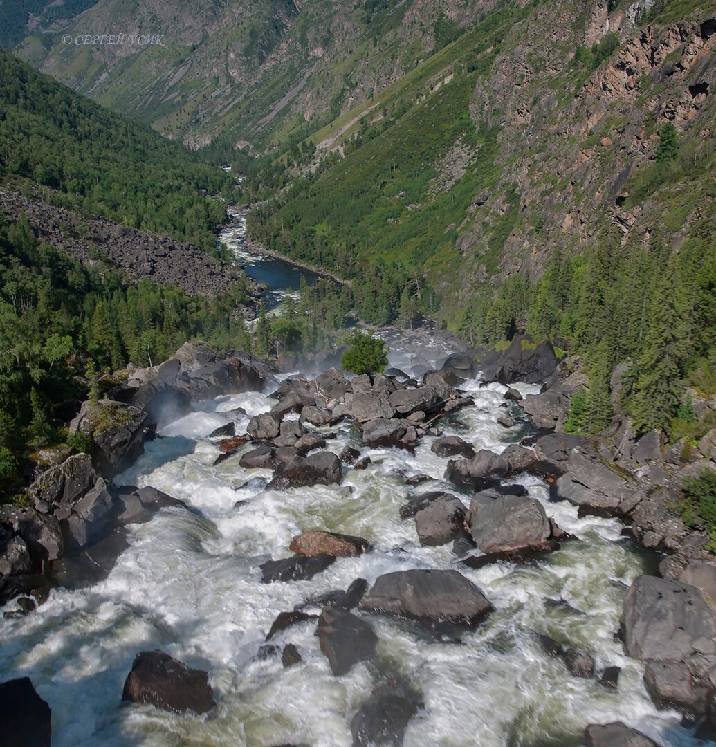 Яндекс Картинки