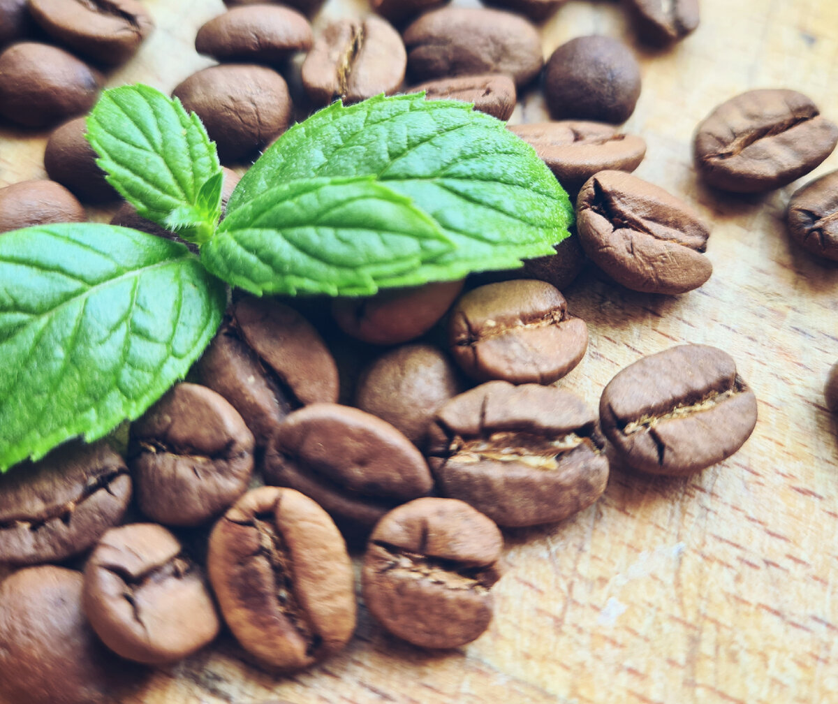 основные ингредиенты для мятного кофе: свежая мята и зёрна кофе
