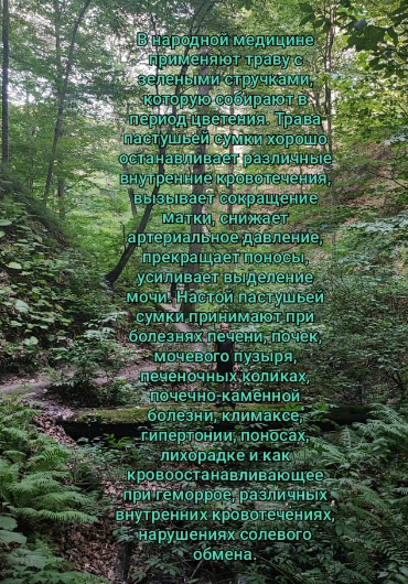 -1-2