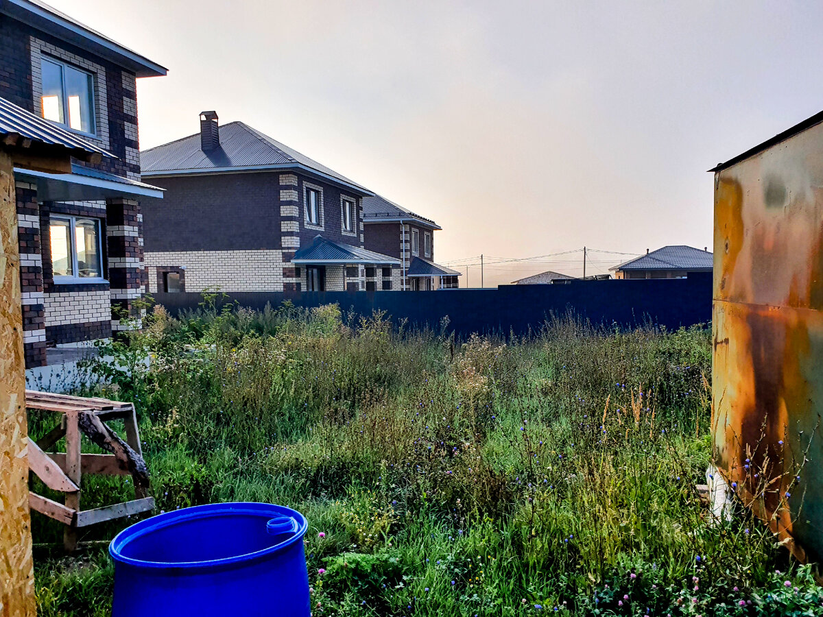 Этот сосед не появлялся на участке весь сезон