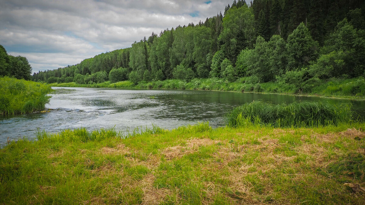 Лес река горы закат