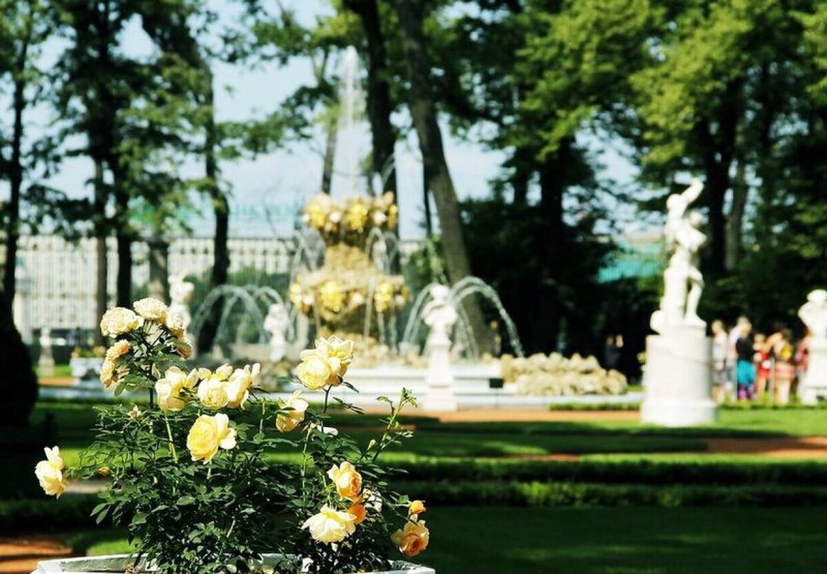 фото летнего сада в санкт петербурге