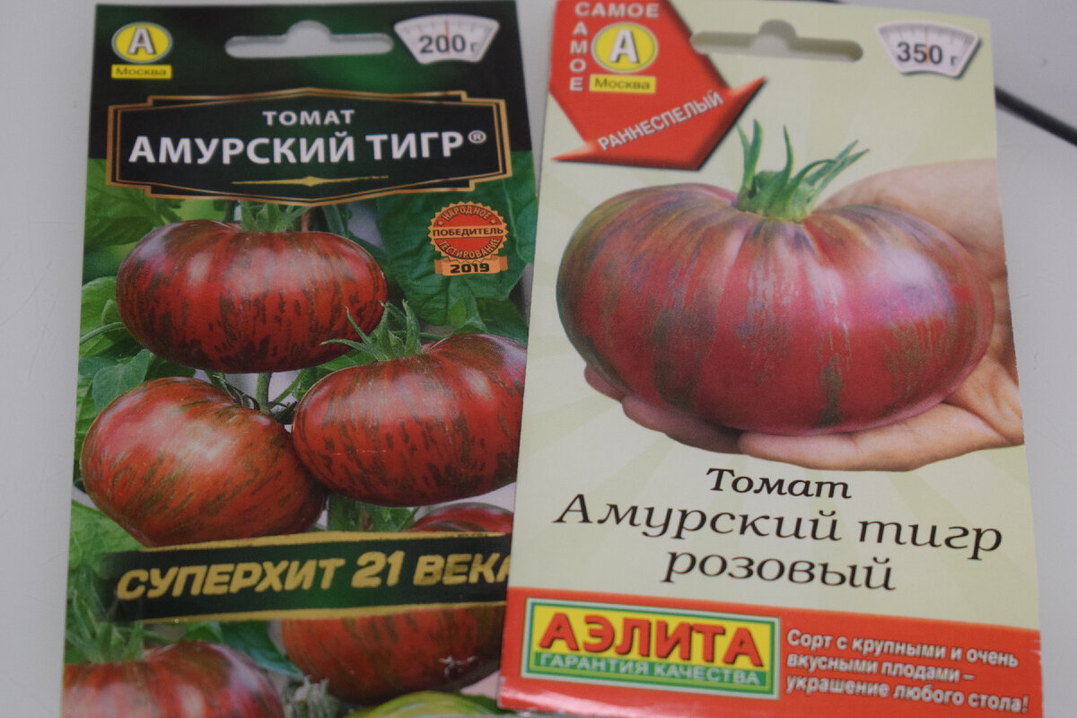 Помидоры тигр отзывы фото