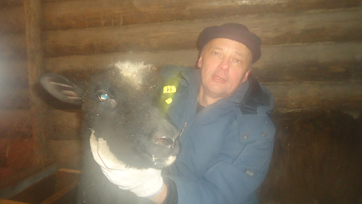 Помесная