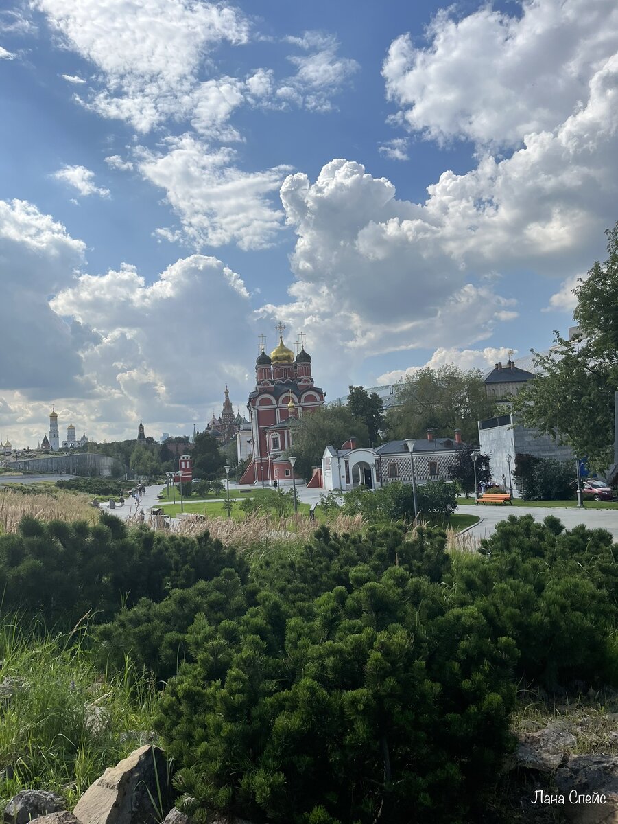 Идём по парку, смотрите, как зелено! 