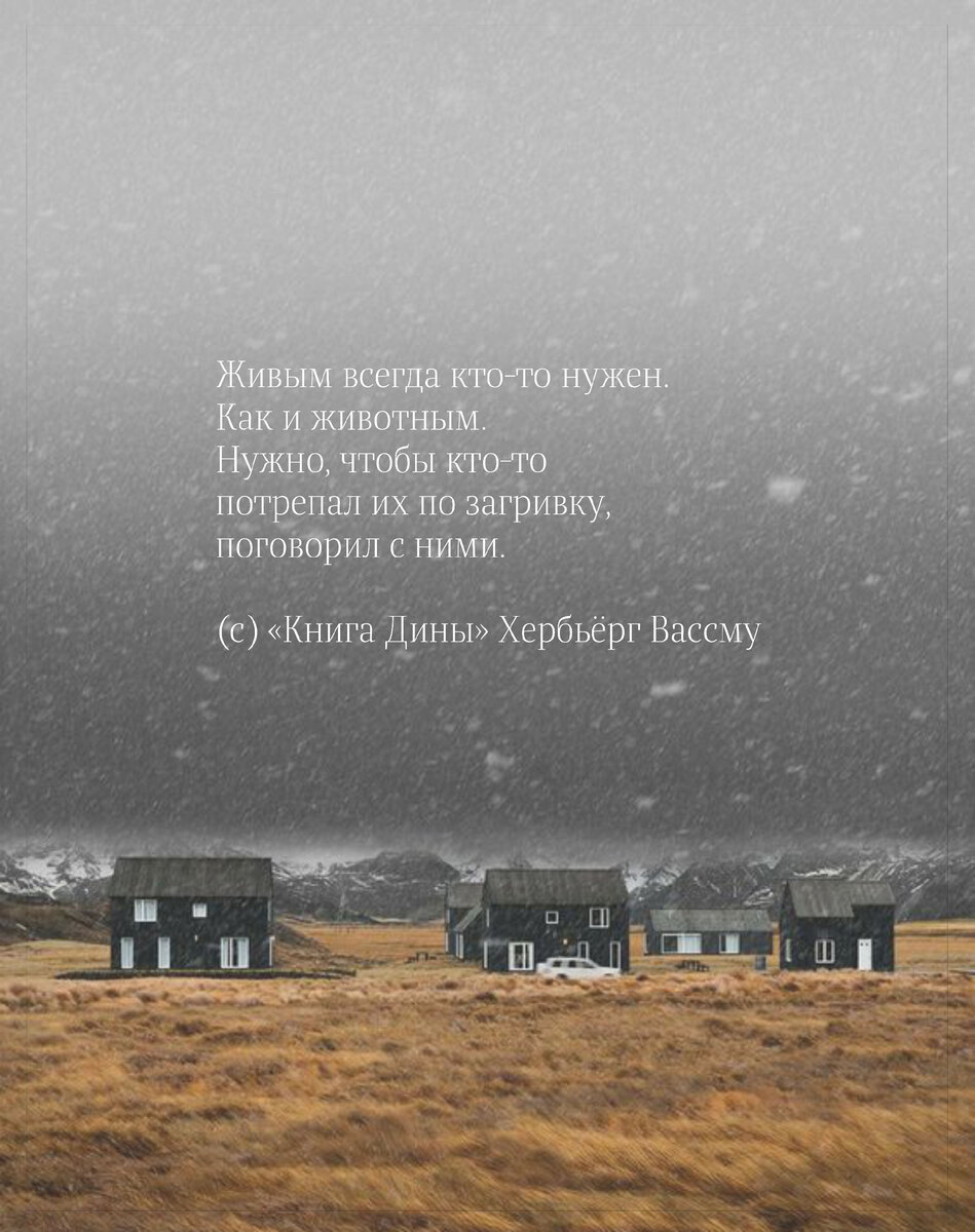 Цитата из первой части трилогии "Книга Дины" Хербьёрг Вассму