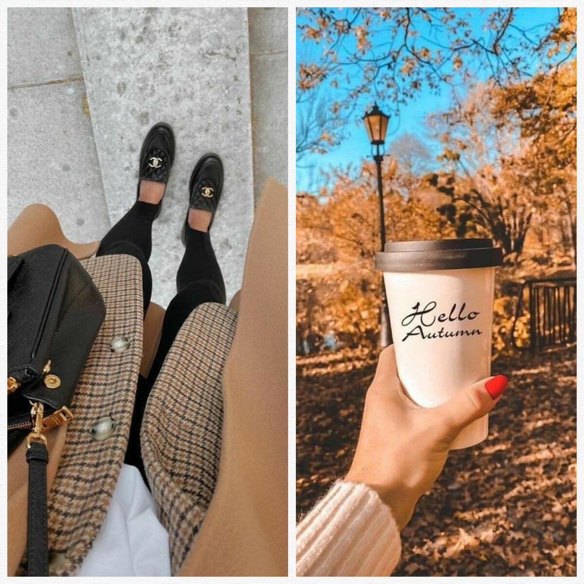 Осень, привет🍁