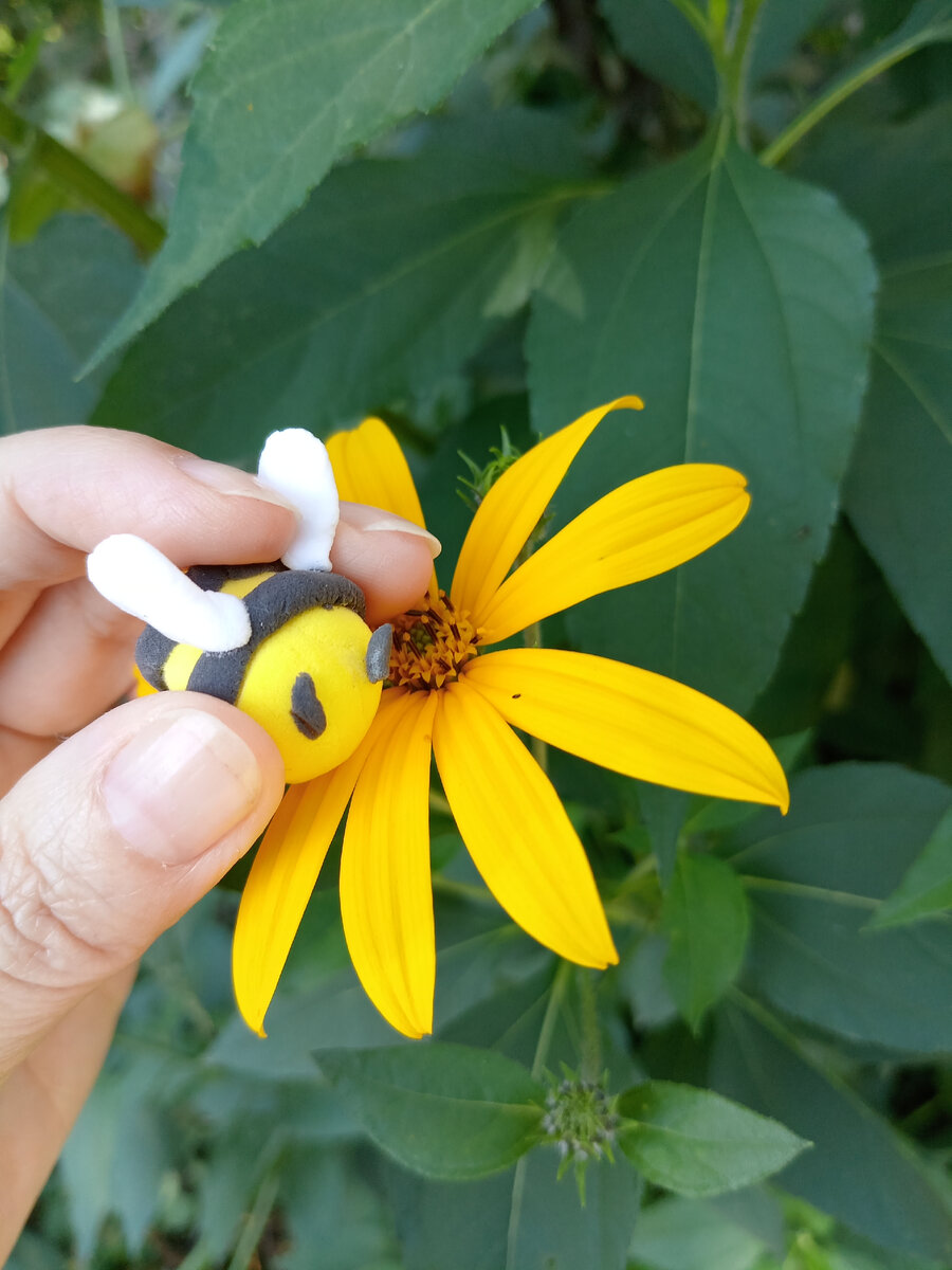 Пчёлка из пластилина 😂 взяла ее погулять, но она сломалась 😭