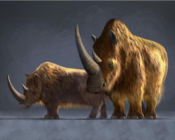 Андрюх, тебе холодно? Мне нет.