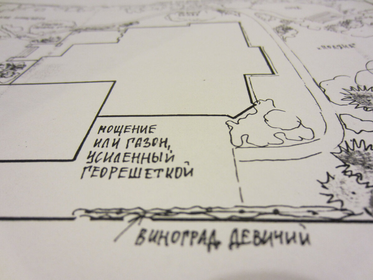 Обустройство дачи. Как сэкономить на благоустройстве участка? | Поехали на  дачу? | Дзен