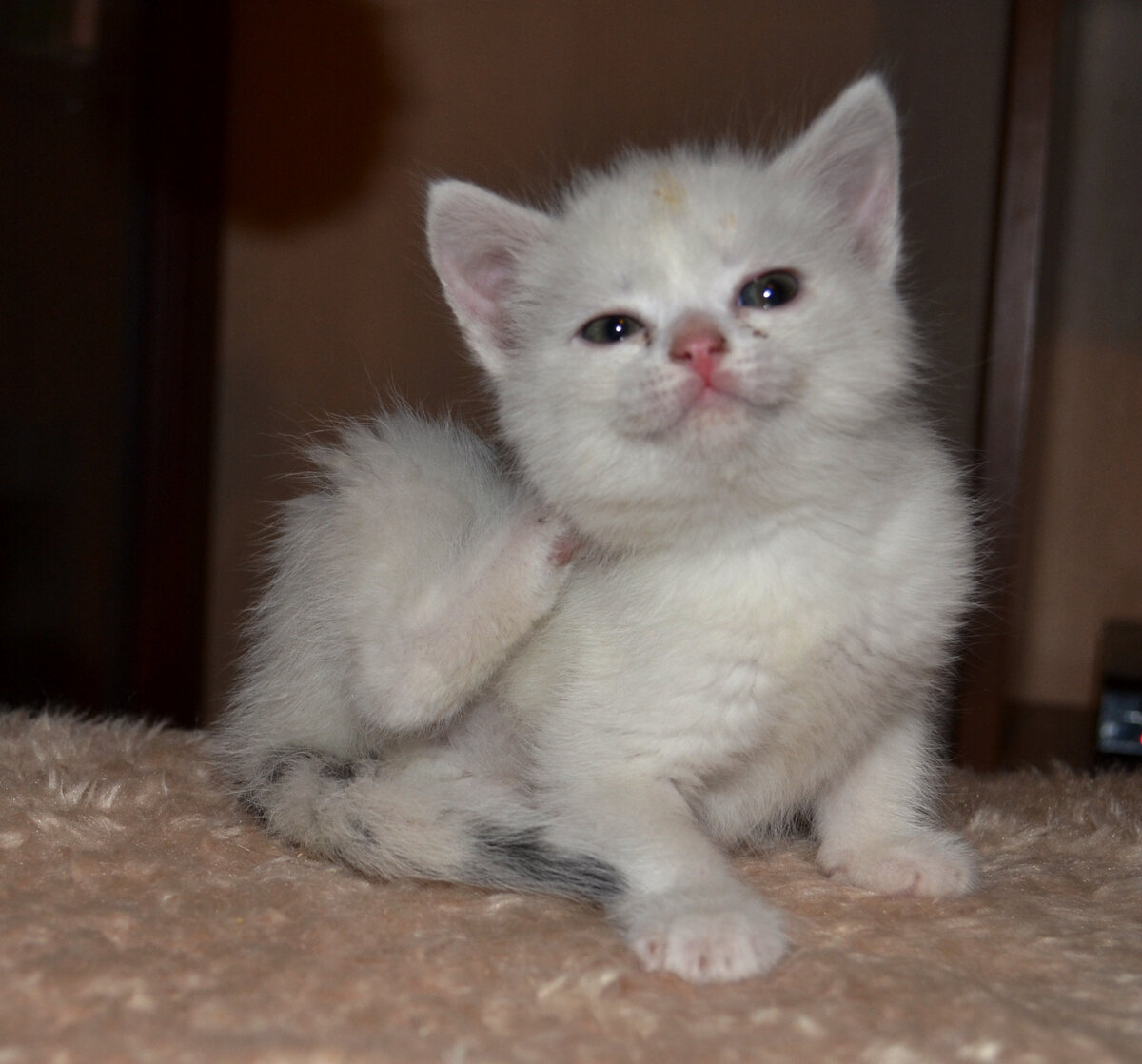 Милая мордашка