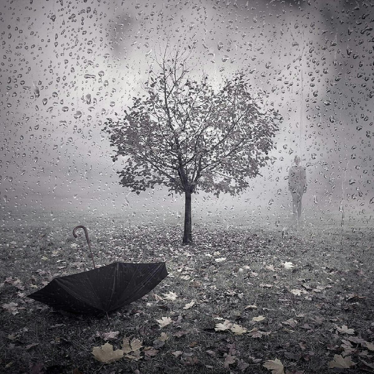 Усталая мокрую землю. Серая осень. Серое одиночество. Грустные картинки. Осень одиночество.