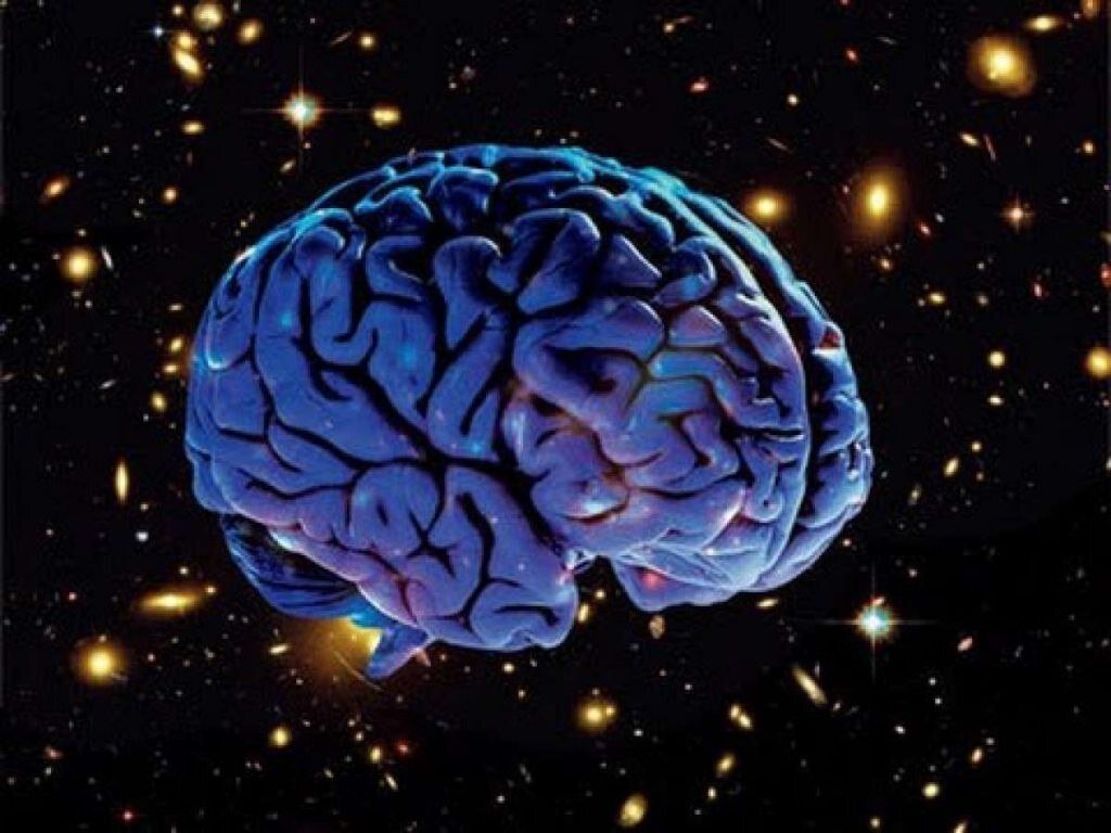 Яндекс. Картинки