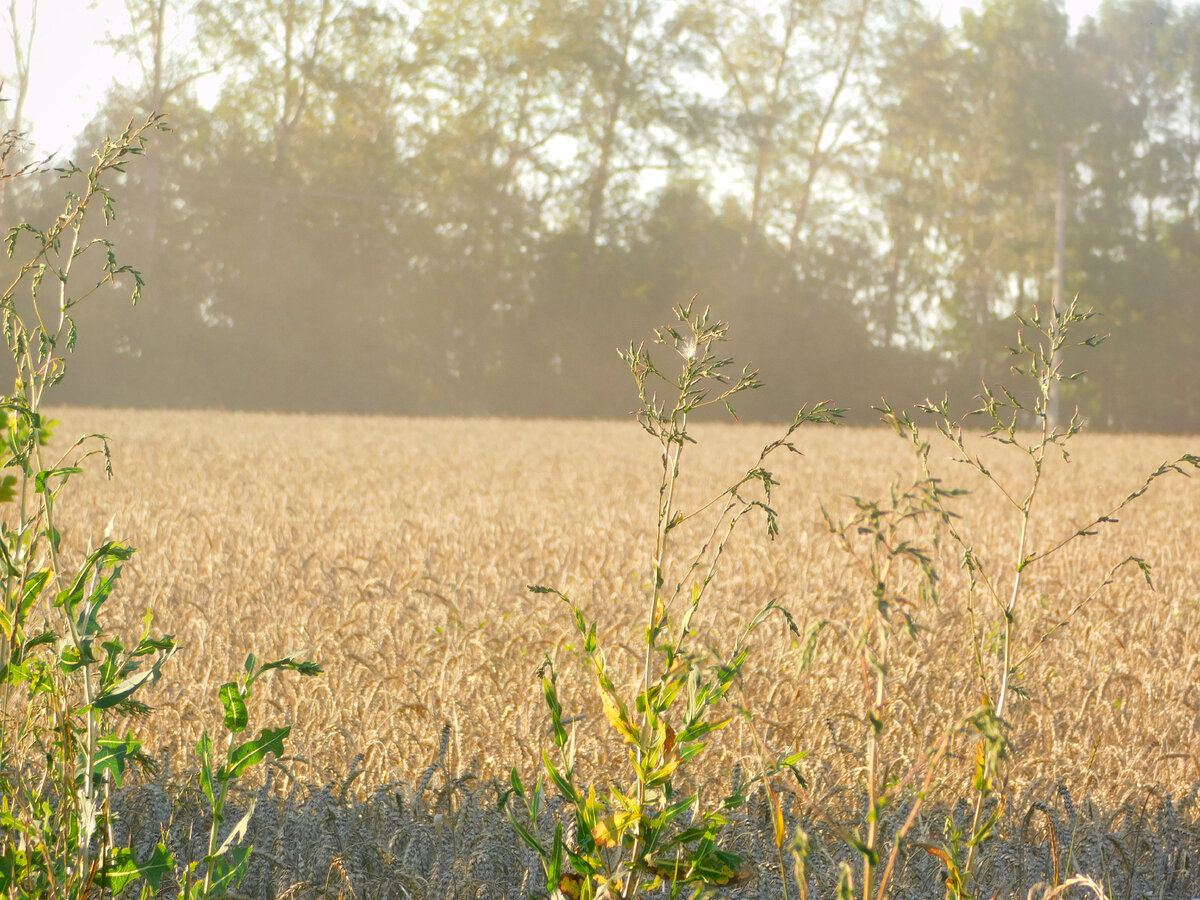 Фото автора канала