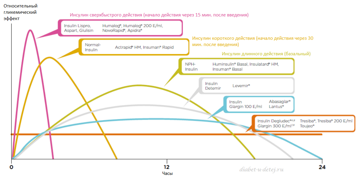 Инсулин в течении дня. Диаграмма действия инсулина. Графики действия инсулинов. Профиль действия короткого инсулина. Время действия инсулина.