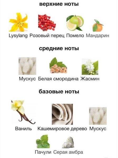 Изображение взято с сайта https://www.fragrantica.ru