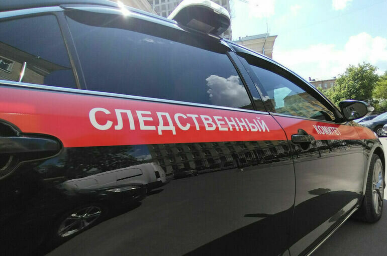   Алина Цыганова/ПГ