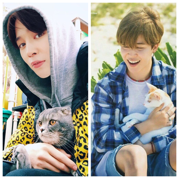 Но иногда это Котёнок может сильно царапаться и выпускать коготки, так как у него Марс и Венера находятся в Скорпионе.