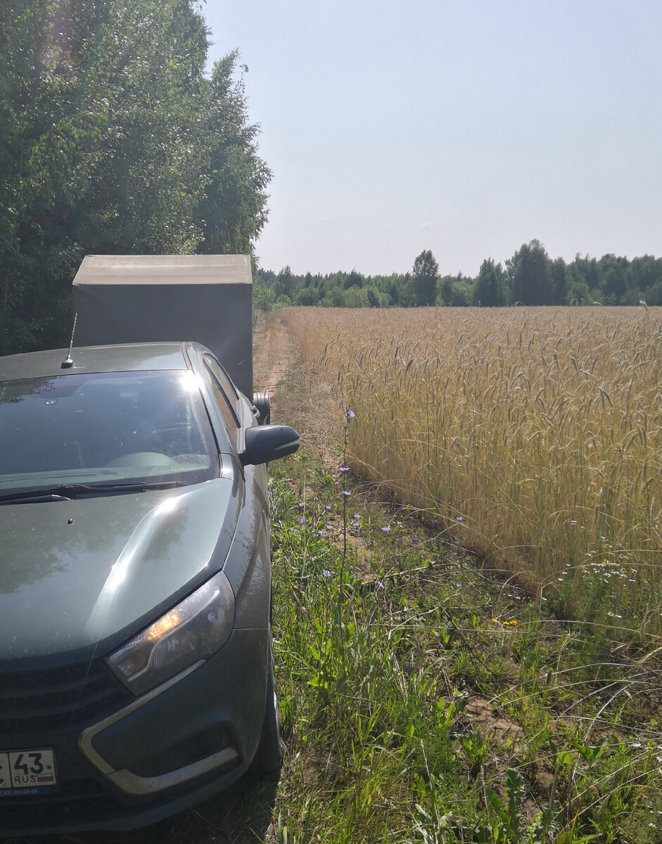 Где-то в пути