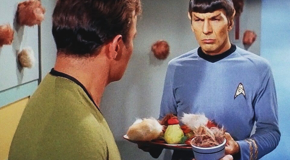   Star Trek: The Original Series / NBC, 1966-1969