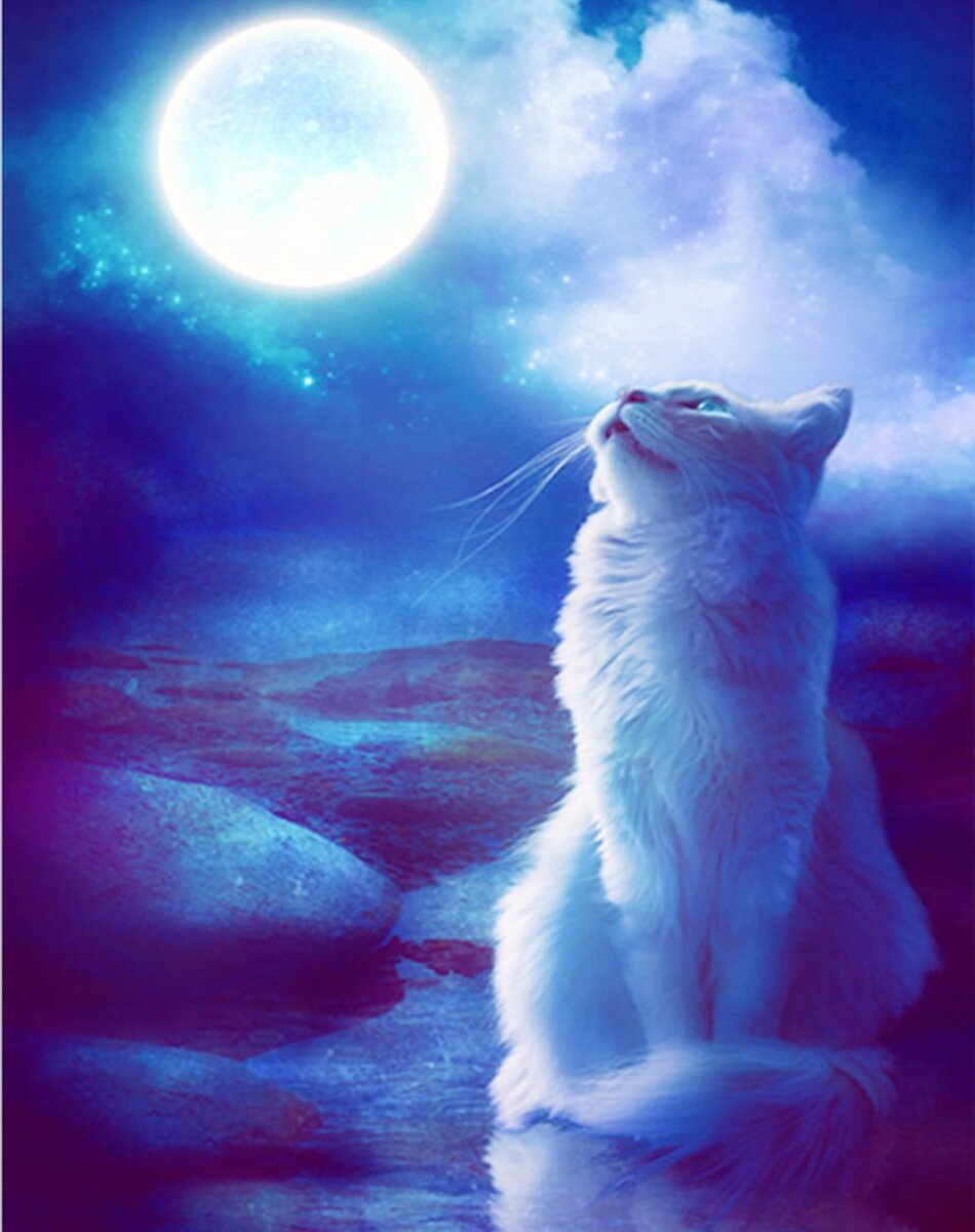 яндекс картинки