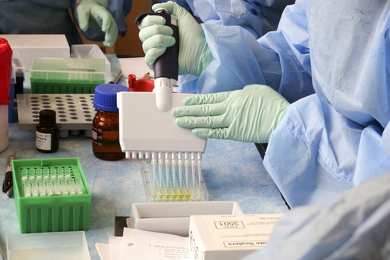    Lab technician adding a solution to an Enzyme–Linked Immunosorbent Assay (ELISA) plate Original image sourced from US Government department: Public Health Image Library, Centers for Disease Control and Prevention. Анастасия Никифорова