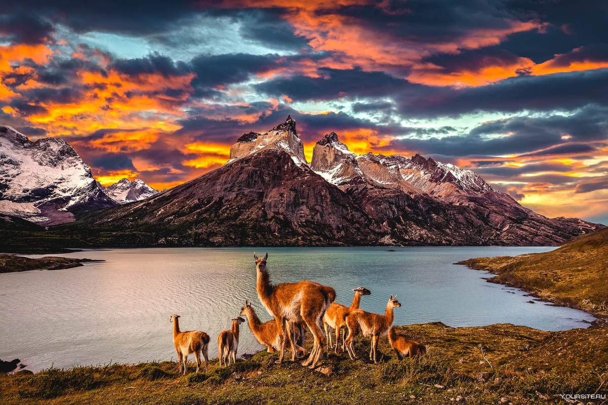 Природные зоны огненной земли. Национальный парк Торрес-дель-Пайне. Национальный парк Торрес-дель-Пейн, Чили. Чили национальный парк Патагония. Парк Торрес дель Пайне Чили.
