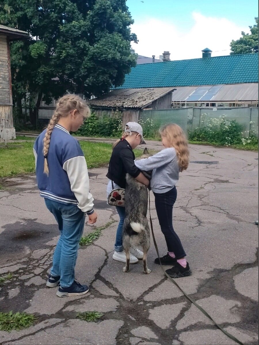 Листайте вправо, чтобы увидеть больше изображений