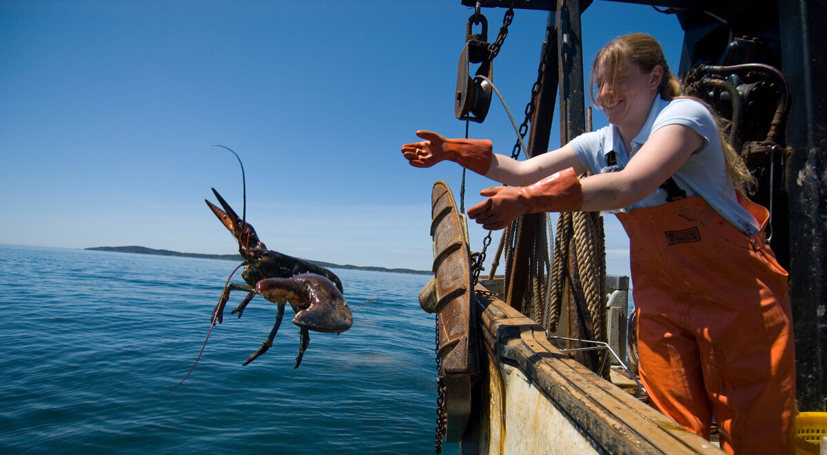 Ловцы ракообразных в заливе Мэн. Источник: AP