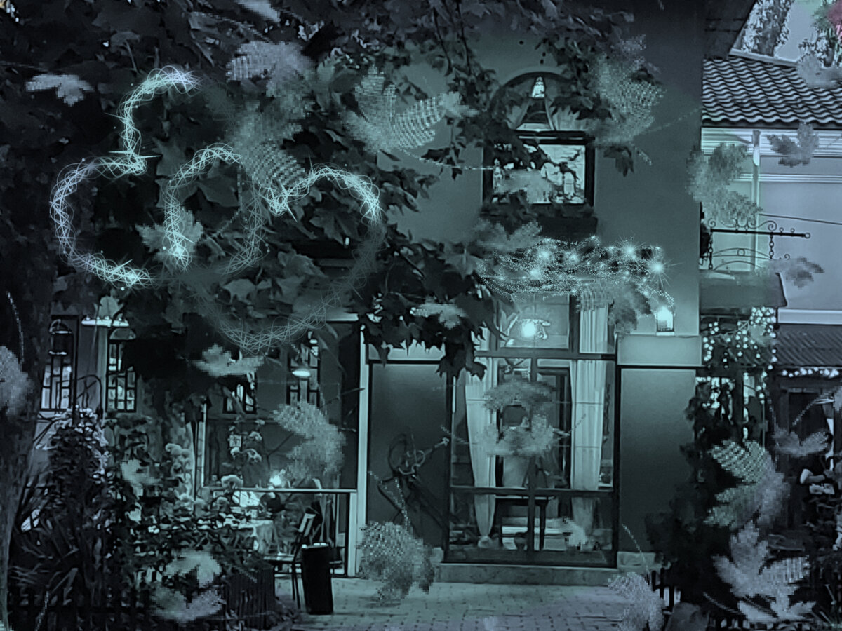 Изображение: фото автора в обработке фоторедактором Polish