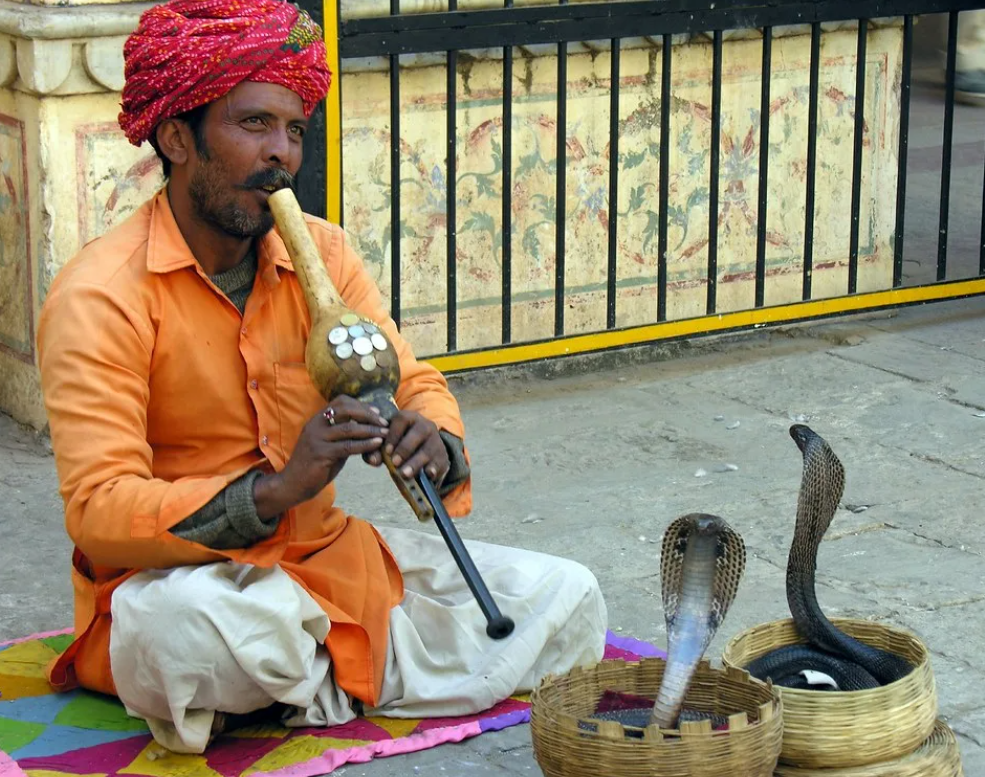 Заклинатели змей в индии. Факир в цирке. Огненный факир. Факир что это. Огненный факир.