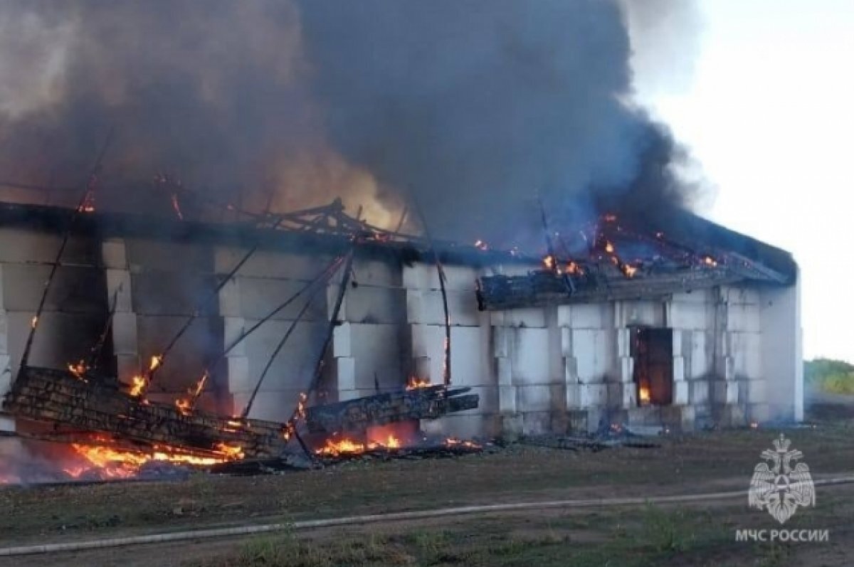    Пожар в Акбулаке произошел на одном из двух рядом стоящих зданий для хранения семян подсолнечника.