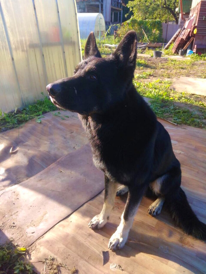 Листайте вправо, чтобы увидеть больше изображений