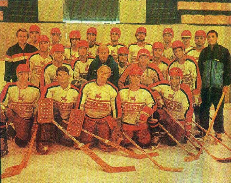 Фото с яндекс.картинки (уфимская команда "СК им. Салавата Юлаева")