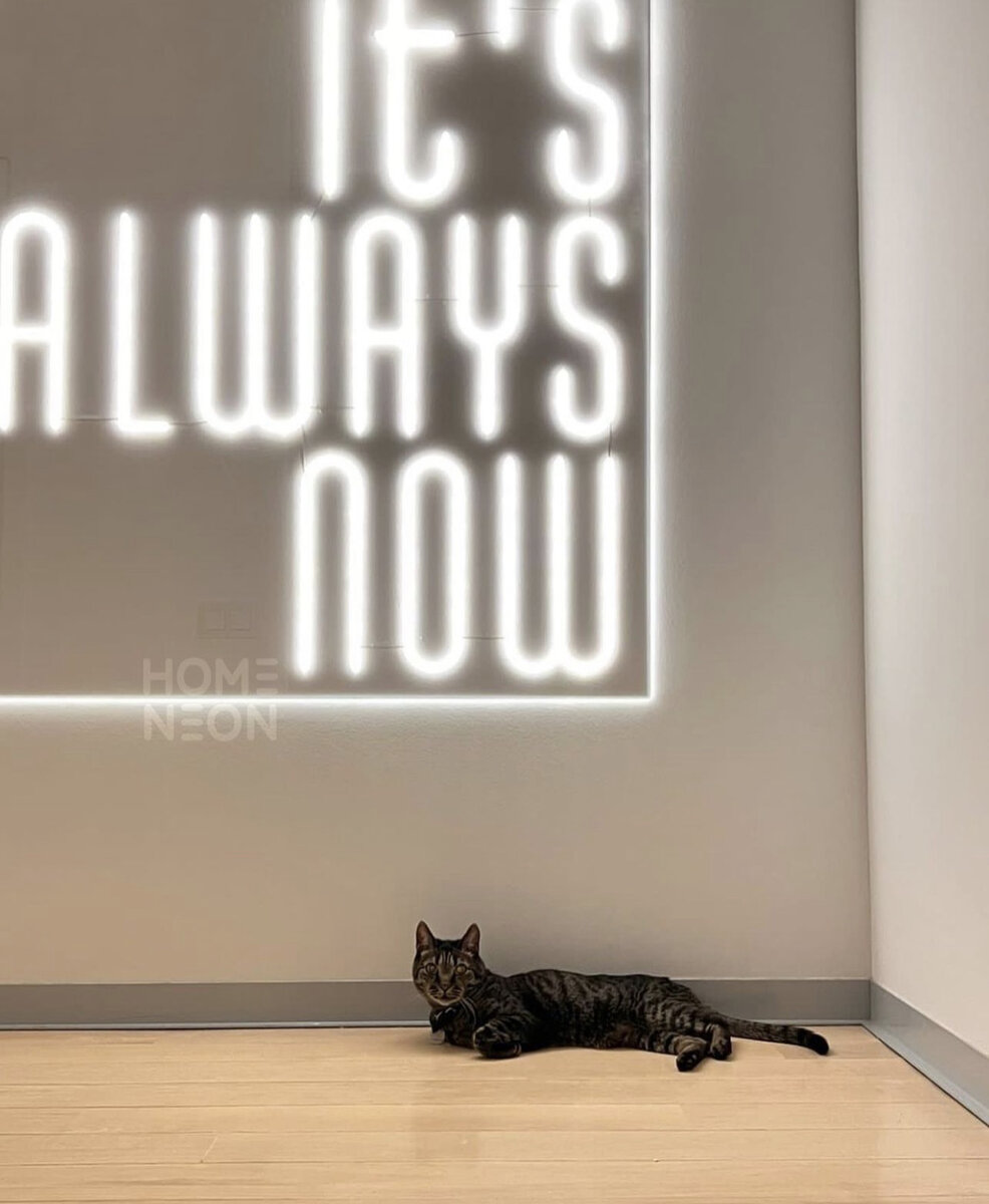 Неоновая вывеска для квартиры.